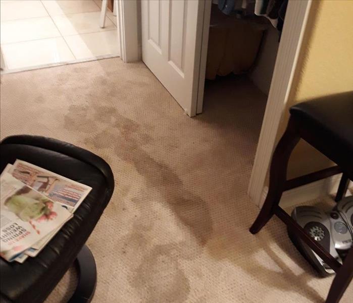beige carpet with large wet spots 