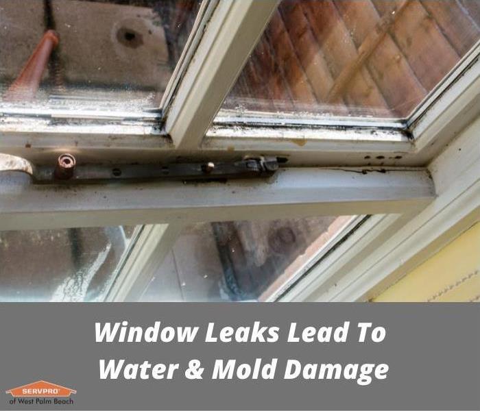 a windowsill shows water and mold damage