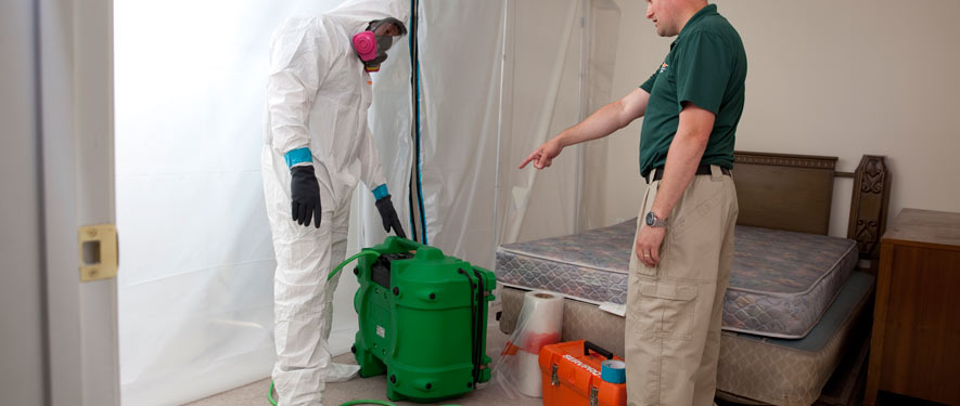 West Palm Beach, FL mold removal process